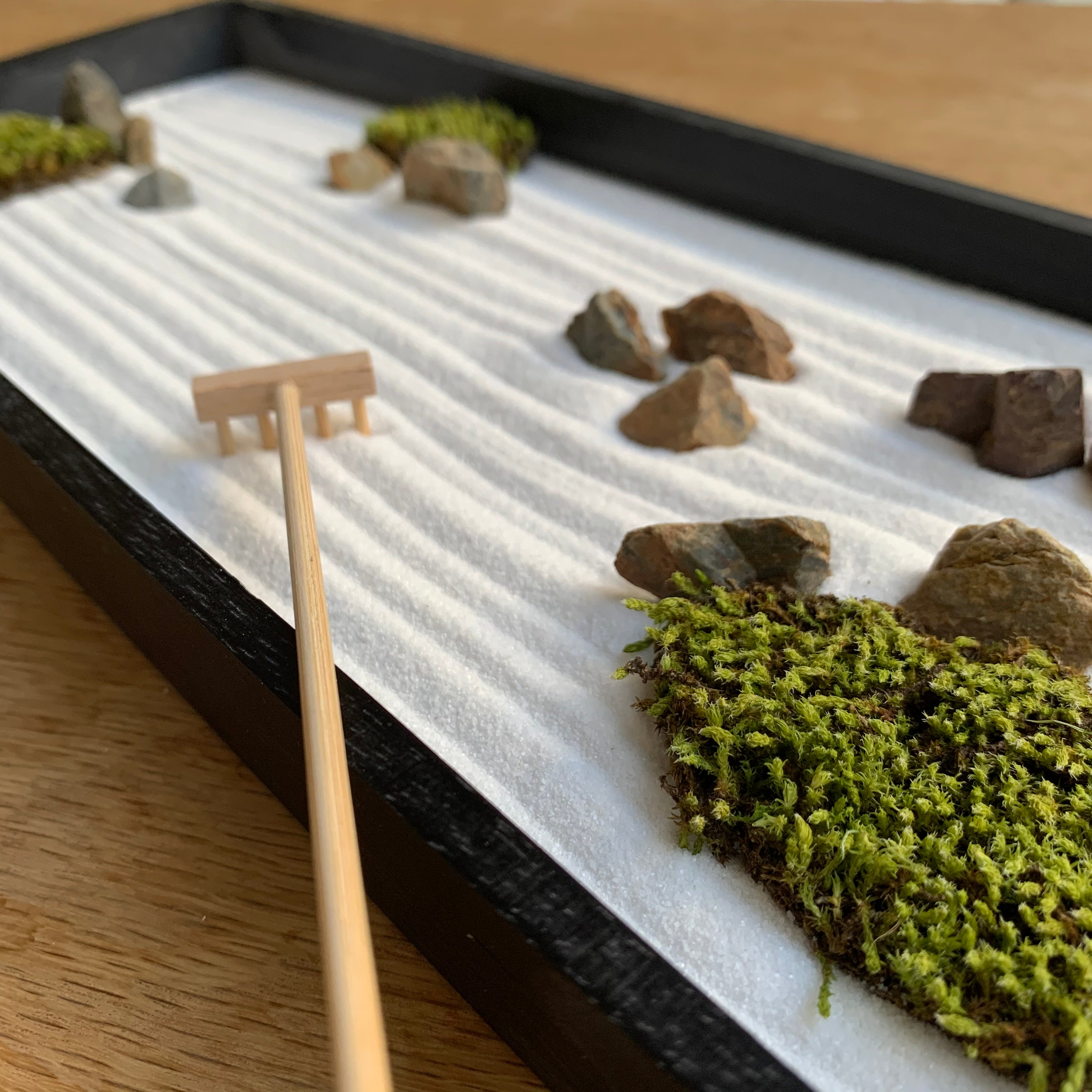 フリーズドライ苔（こけ）付 枯山水キット 龍安寺 スナゴケセット – zen garden