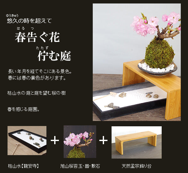 枯山水キット ( 龍安寺 )+ 旭山桜苔玉  器  天然孟宗竹飾り台セット 枯山水セット 枯山水 zengarden karesansui