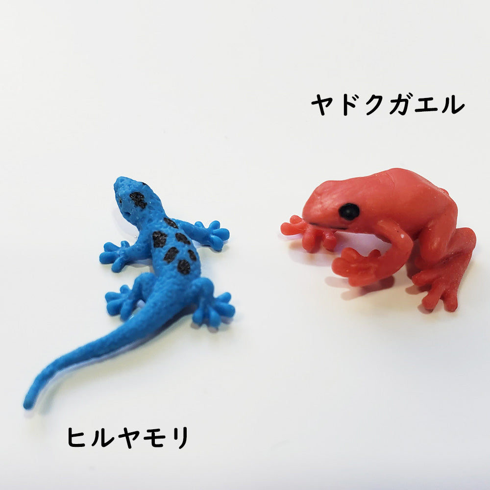 シンプルミニ枯山水キット 地底の世界 ミニチュア2個付き ヤドクガエル ヒルヤモリ ミニチュア 添配 フィギュア 盆景 枯山水セット 枯山水 箱庭 ミニ庭園 小さな庭 paper カラフル カラー 岐阜石 チャートレーキカラー zengarden karesansui