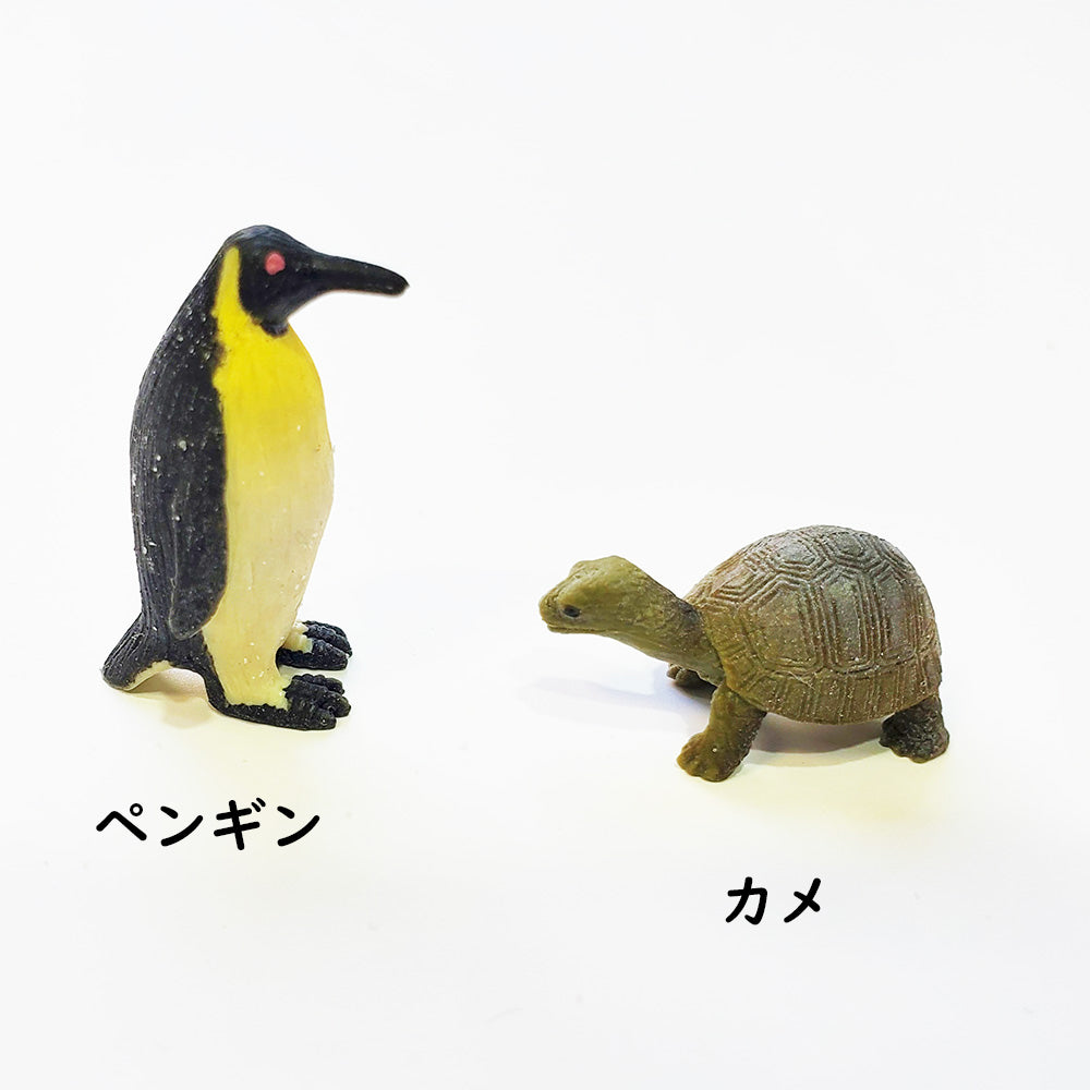 シンプルミニ枯山水キット 海の物語 ミニチュア2個付き ペンギン 亀  ミニチュア 添配 フィギュア 盆景 枯山水セット 枯山水 箱庭 ミニ庭園 小さな庭 paper カラフル  zengarden karesansui