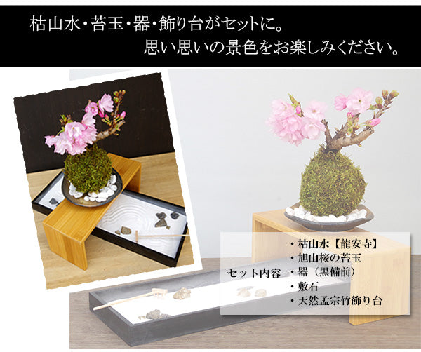 枯山水キット ( 龍安寺 )+ 旭山桜苔玉  器  天然孟宗竹飾り台セット 枯山水セット 枯山水 zengarden karesansui