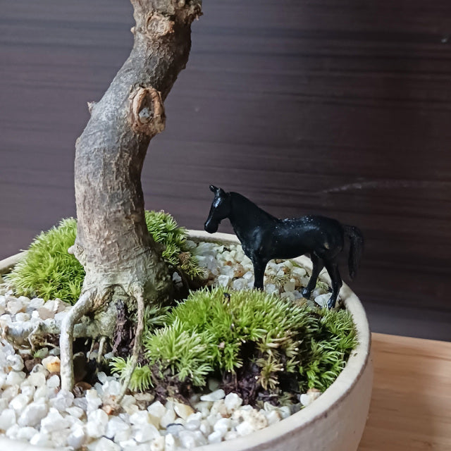 ミニチュア 添配 フィギュア 盆景  馬 ( うま ) 銅製  zengarden karesansui