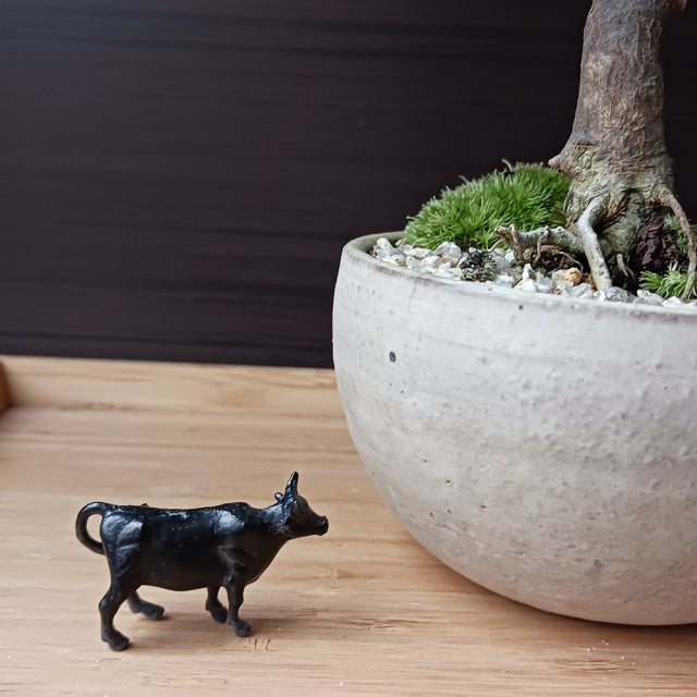 ミニチュア 添配 フィギュア 盆景  牛 ( うし ) 銅製  zengarden karesansui