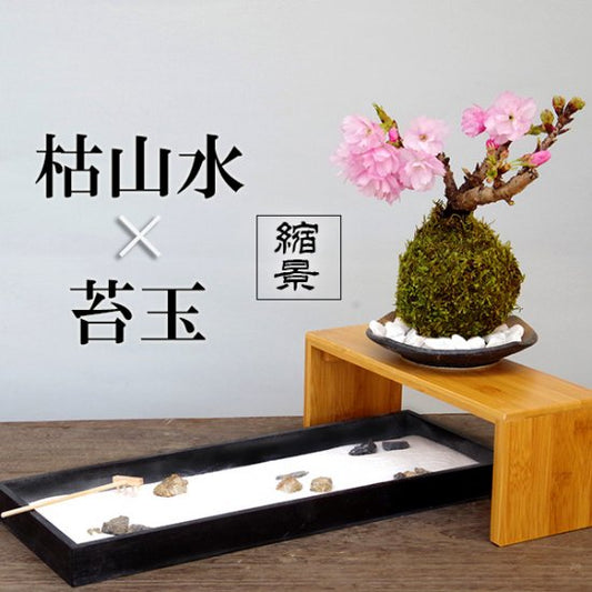 枯山水キット ( 龍安寺 )+ 旭山桜苔玉  器  天然孟宗竹飾り台セット 枯山水セット 枯山水 zengarden karesansui