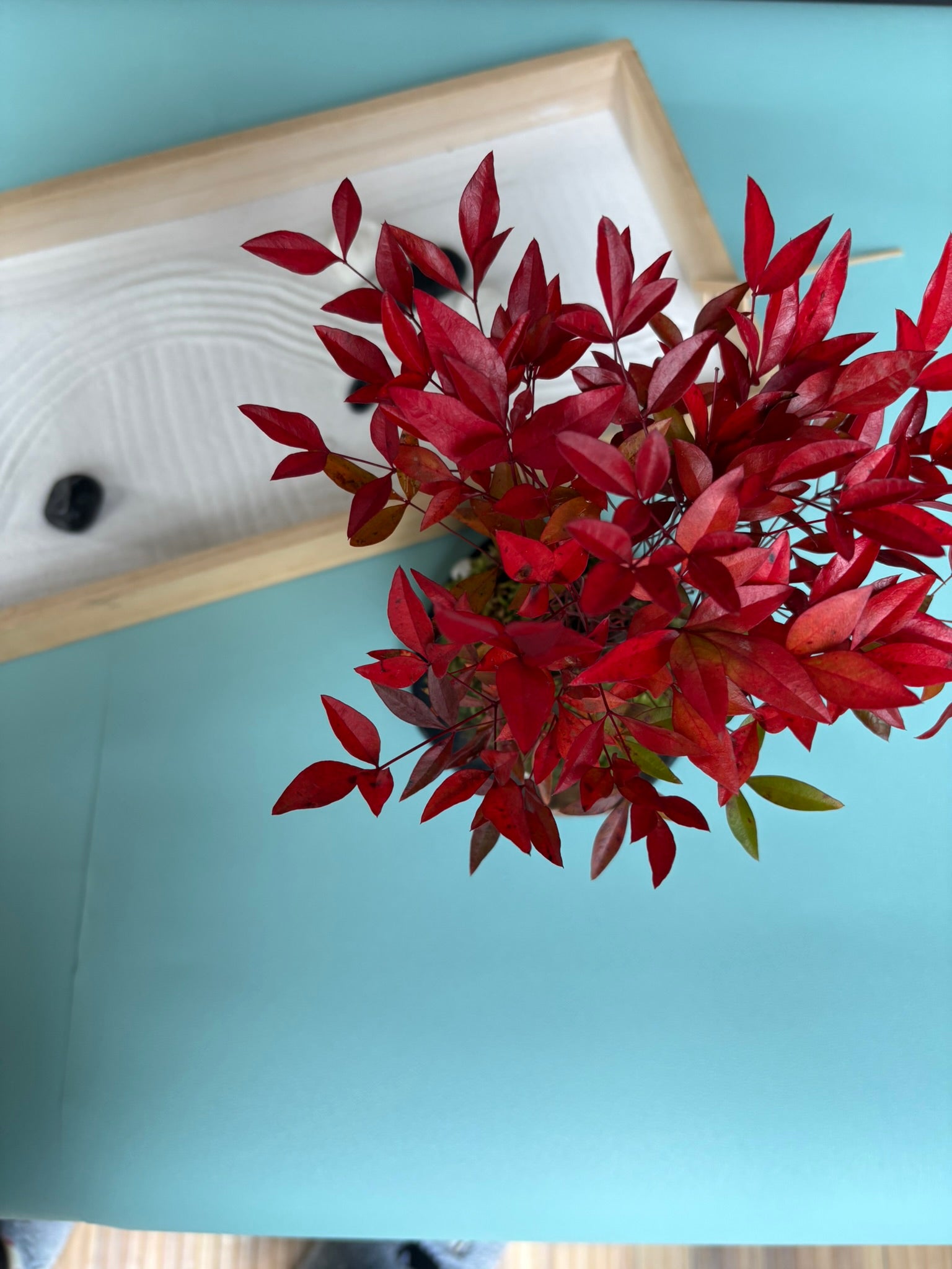 ミニチュア枯山水専門店 禅ガーデン 枯山水 – zen garden