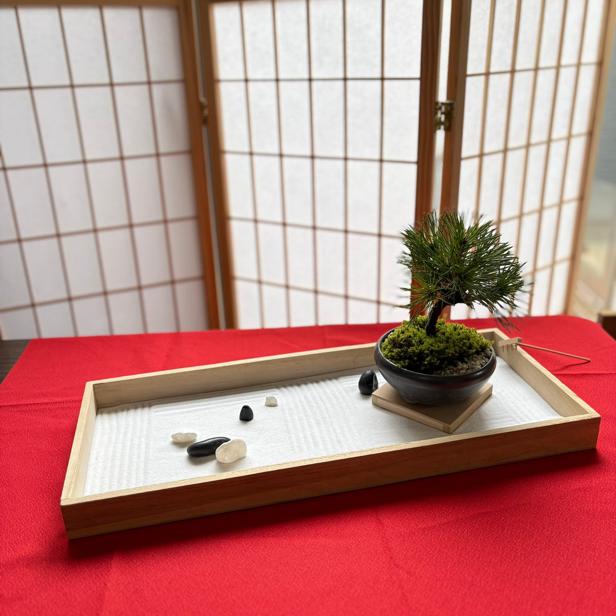 dry landscape garden