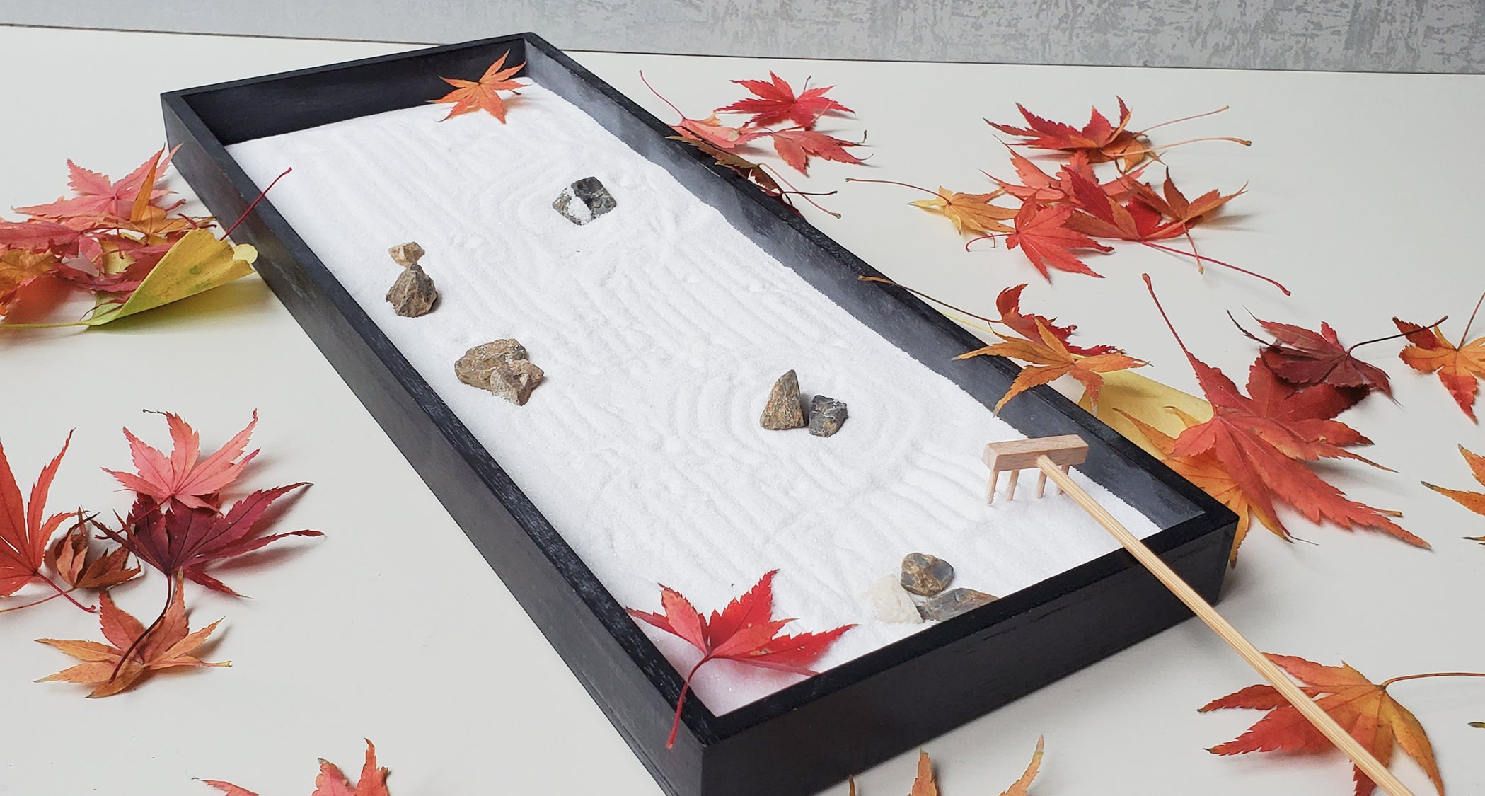 dry landscape garden