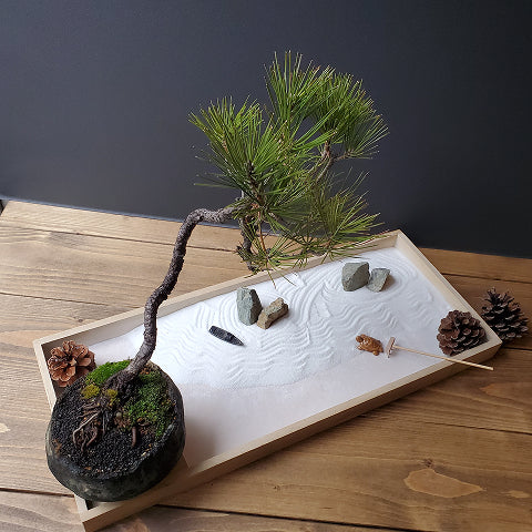 with dry landscape garden