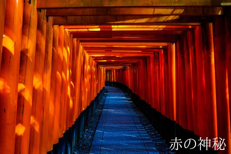 ミニチュア 添配 盆景 フィギュア 鳥居 （ とりい ）5個セット 千本鳥居 伏見稲荷 苔テラリウム 苔盆栽 zengarden karesansui
