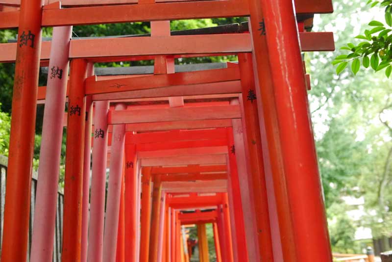ミニチュア 添配 盆景 フィギュア 鳥居 （ とりい ）5個セット 千本鳥居 伏見稲荷 苔テラリウム 苔盆栽 zengarden karesansui