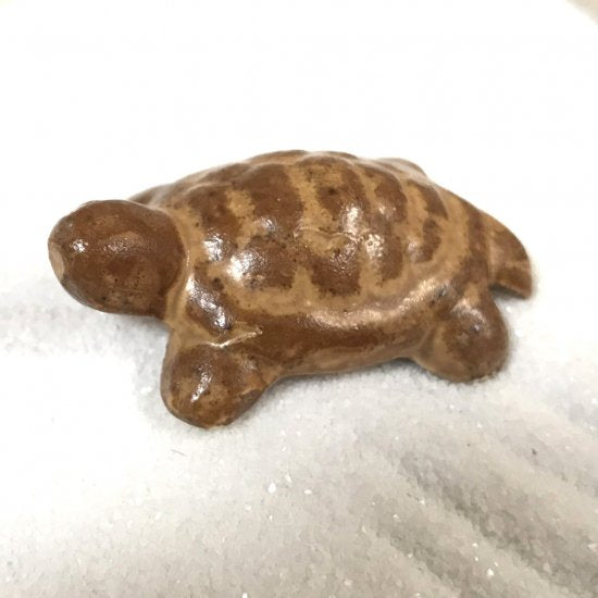 [Miniature turtle (small)] as an accompaniment to garnishes, bonscapes, and dry landscapes.